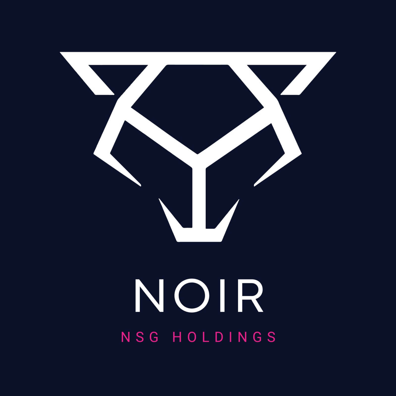 NSG Holdings Logo